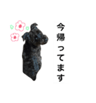 うちのぺぺ2（個別スタンプ：8）