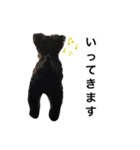うちのぺぺ2（個別スタンプ：11）