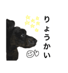 うちのぺぺ2（個別スタンプ：14）