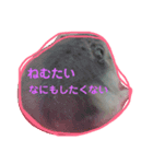 あまはむず（個別スタンプ：1）