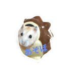 あまはむず（個別スタンプ：2）