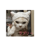 にゃんたち3（個別スタンプ：22）