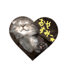 折れ耳姉弟らみ＆れお（個別スタンプ：3）