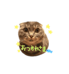 折れ耳姉弟らみ＆れお（個別スタンプ：21）