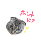 折れ耳姉弟らみ＆れお（個別スタンプ：25）