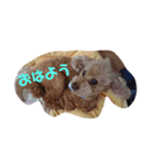 といぷーどる君2（個別スタンプ：1）
