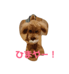 といぷーどる君2（個別スタンプ：2）