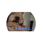 といぷーどる君2（個別スタンプ：4）