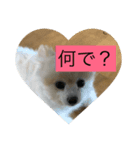 甘えん坊のアイ（個別スタンプ：1）