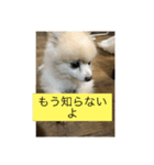 甘えん坊のアイ（個別スタンプ：4）