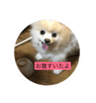 甘えん坊のアイ（個別スタンプ：5）