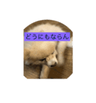 甘えん坊のアイ（個別スタンプ：6）