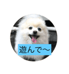 甘えん坊のアイ（個別スタンプ：8）