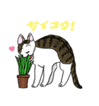 ピーツと仲間たち（個別スタンプ：12）