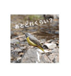 小鳥のキモチ（個別スタンプ：4）