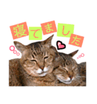 かわいいの天才 敬語編（個別スタンプ：18）