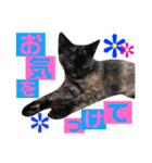 かわいいの天才 敬語編（個別スタンプ：19）