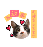 かわいいの天才 敬語編（個別スタンプ：20）
