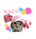 かわいいの天才 敬語編（個別スタンプ：23）
