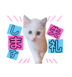 かわいいの天才 敬語編（個別スタンプ：26）