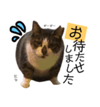 かわいいの天才 敬語編（個別スタンプ：30）
