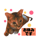 かわいいの天才 敬語編（個別スタンプ：31）