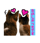 かわいいの天才 敬語編（個別スタンプ：32）
