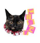 かわいいの天才 敬語編（個別スタンプ：33）