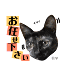 かわいいの天才 敬語編（個別スタンプ：35）