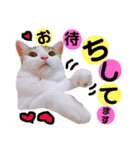 かわいいの天才 敬語編（個別スタンプ：39）