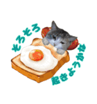 うちの子達と。（個別スタンプ：1）