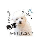 うちの子達と。（個別スタンプ：13）
