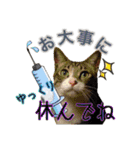 うちの子達と。（個別スタンプ：17）