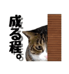 うちの子達と。（個別スタンプ：25）