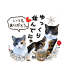 うちの子達と。（個別スタンプ：28）