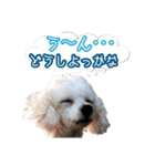 うちの子達と。（個別スタンプ：30）