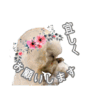 うちの子達と。（個別スタンプ：32）