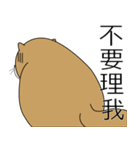グラウンドホッグ ベイベイを見せる（個別スタンプ：14）
