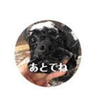 毎日ミンちゃん（個別スタンプ：7）