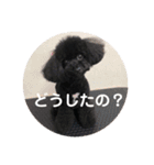 毎日ミンちゃん（個別スタンプ：12）