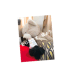 毎日ミンちゃん（個別スタンプ：14）