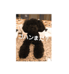 毎日ミンちゃん（個別スタンプ：16）