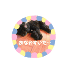 毎日ミンちゃん（個別スタンプ：17）