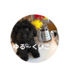 毎日ミンちゃん（個別スタンプ：21）