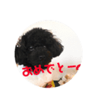 毎日ミンちゃん（個別スタンプ：24）