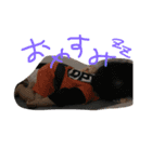 大好きまーちゃん（個別スタンプ：4）