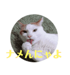 Taichi No3（個別スタンプ：5）