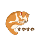 柴犬 あっち（個別スタンプ：4）