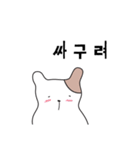 馬鹿みたいな猫（個別スタンプ：5）