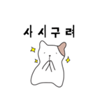 馬鹿みたいな猫（個別スタンプ：16）